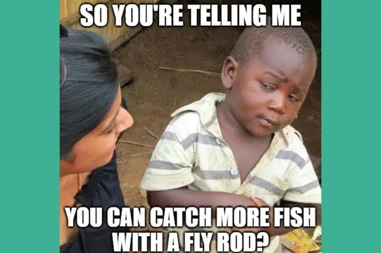 Los 15 memes de pesca más divertidos para alegrar tu día