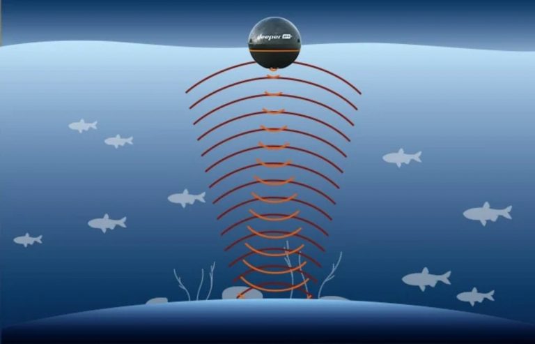 Fish Finder Sonar (Guía para principiantes de 2022)