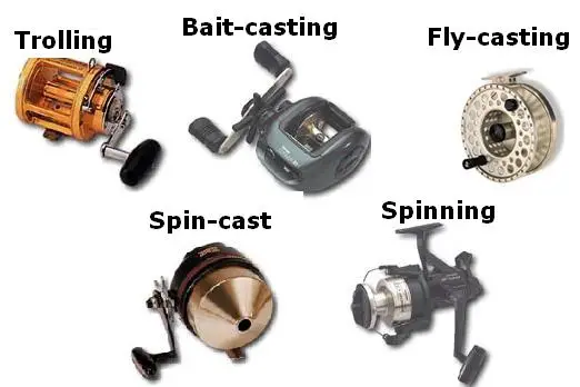 Los mejores carretes para la pesca del lucio - Baitcasting vs Spinning