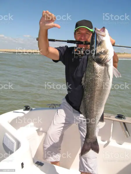 Karl's Summer Striped lubina Fishing 101